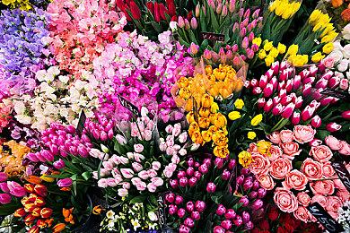 科幻RPG《EXODUS》带感CG发布 马修·麦康纳配音